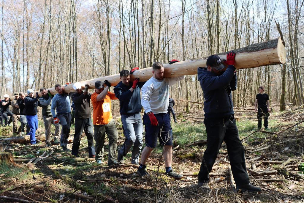 Mehrere Helfer tragen gemeinsam einen frisch geschlagenen Kerbebaum durch den Wald